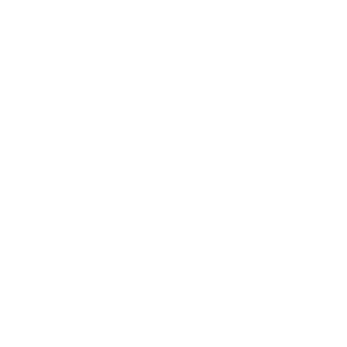 Scalevision